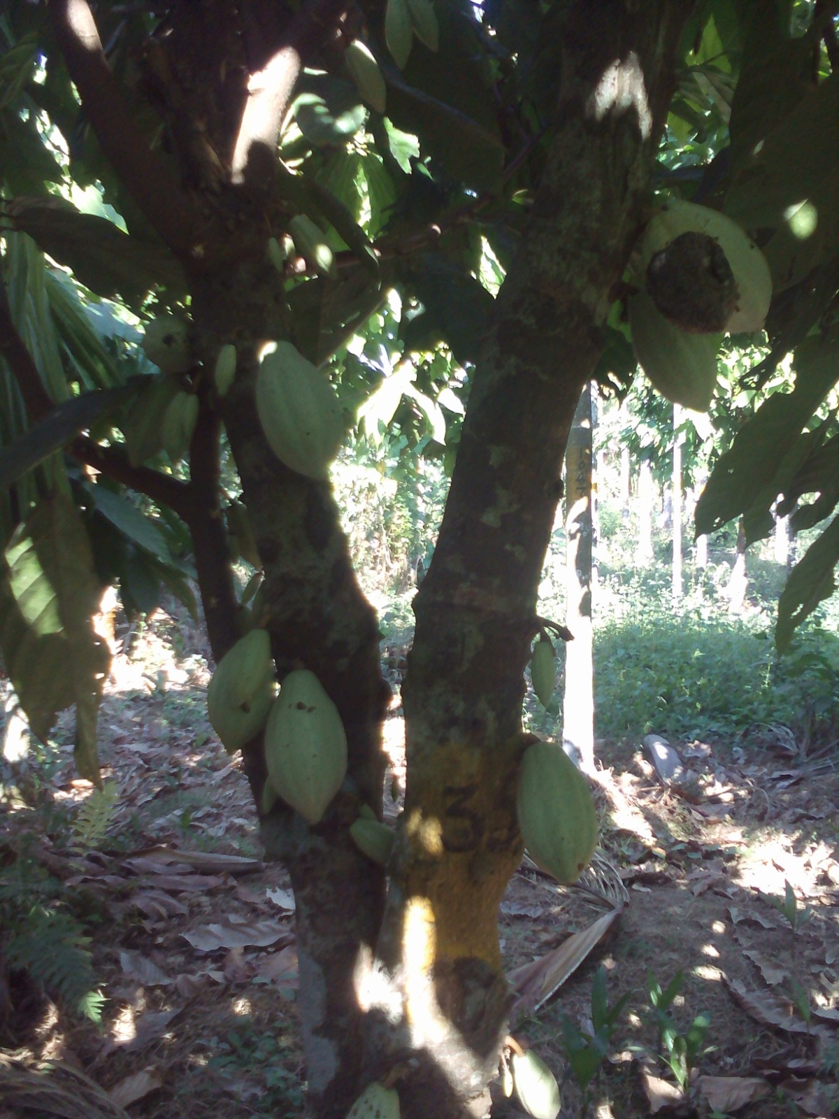 WhatsApp Image 2025-08-27 at 11.49.01 AM-2