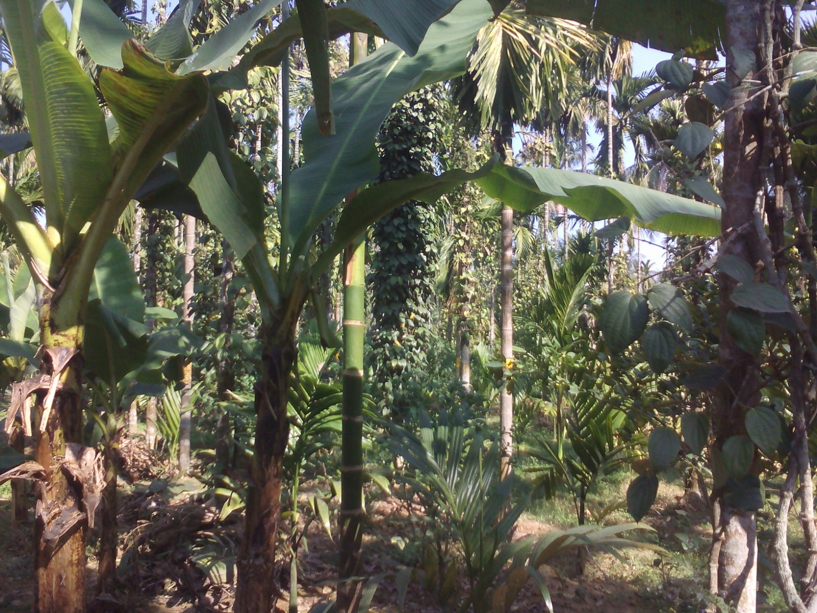 WhatsApp Image 2025-09-24 at 3.26.44 PM