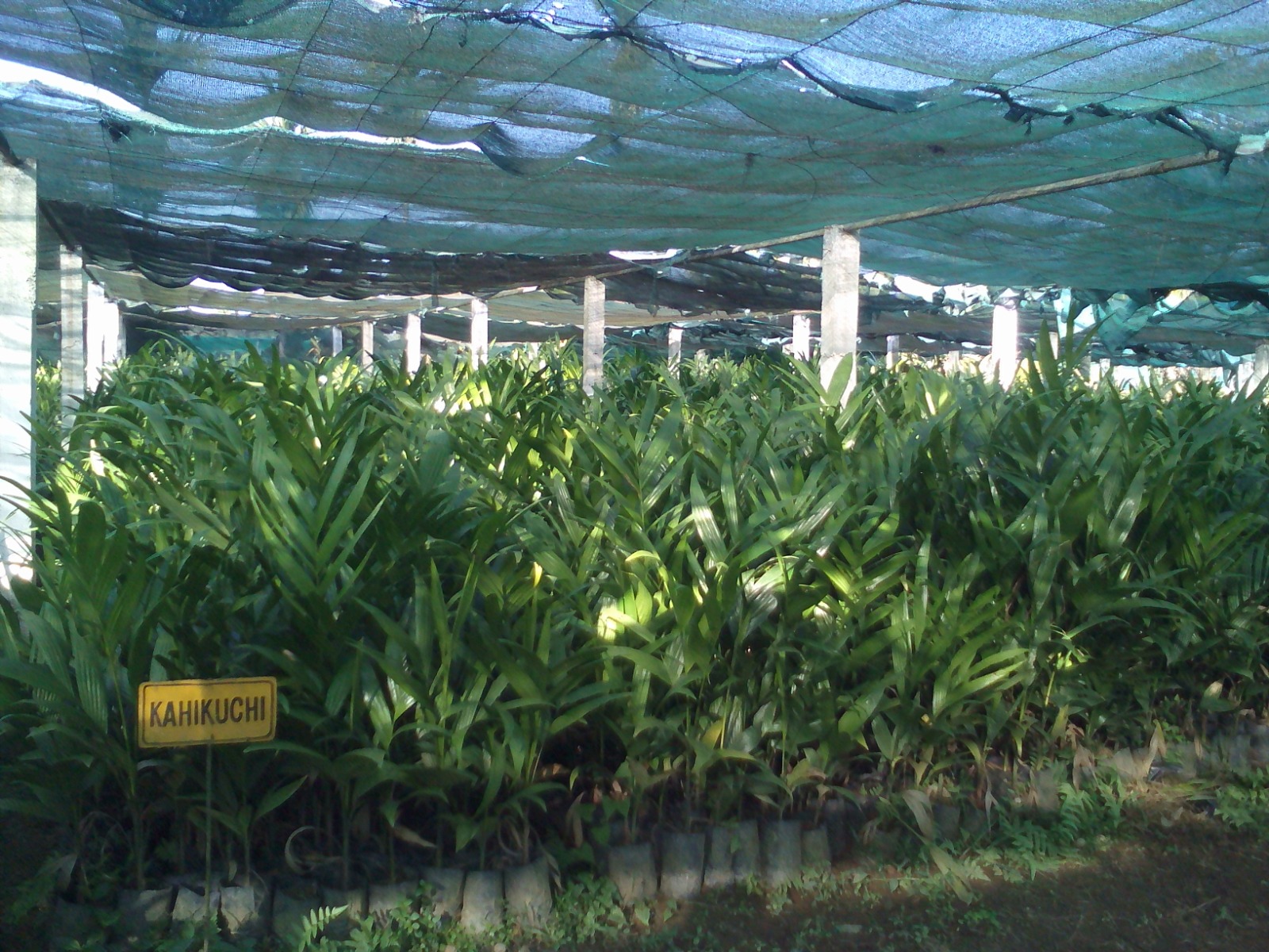 WhatsApp Image 2025-09-24 at 3.26.45 PM (10)