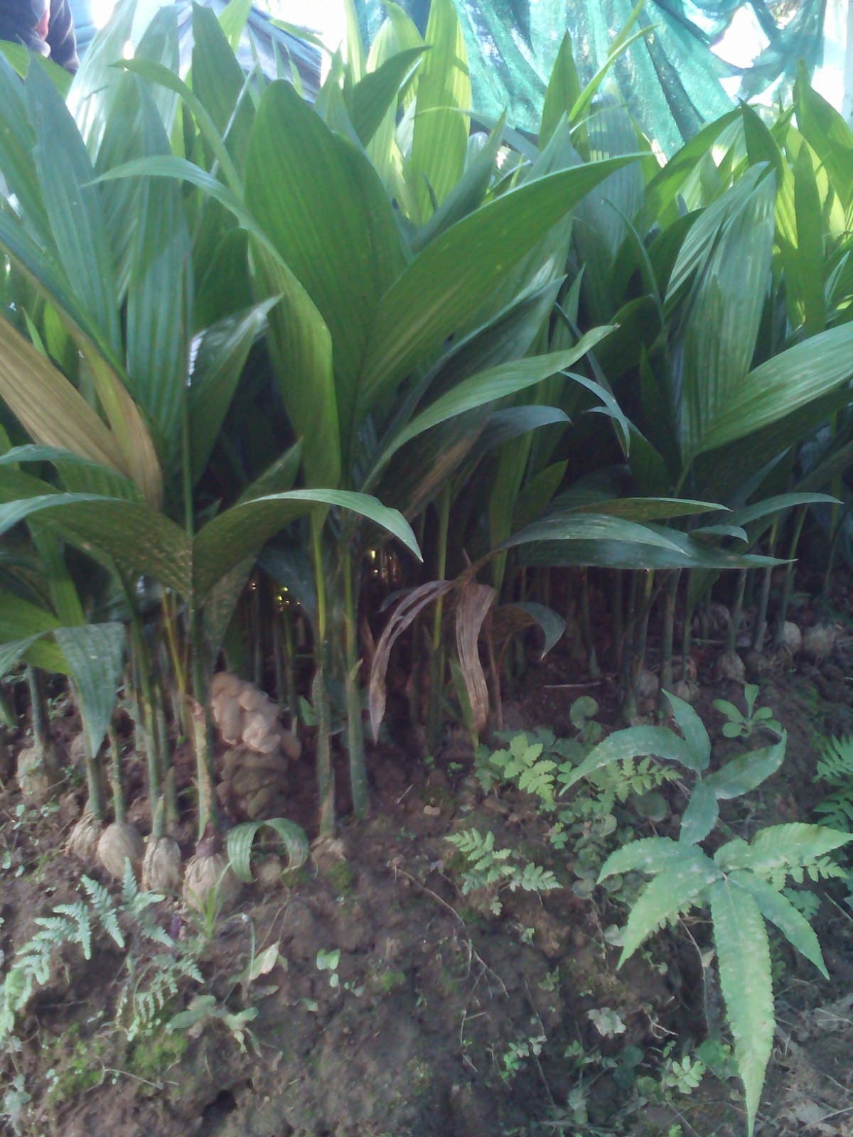 WhatsApp Image 2025-09-24 at 3.26.45 PM (13)