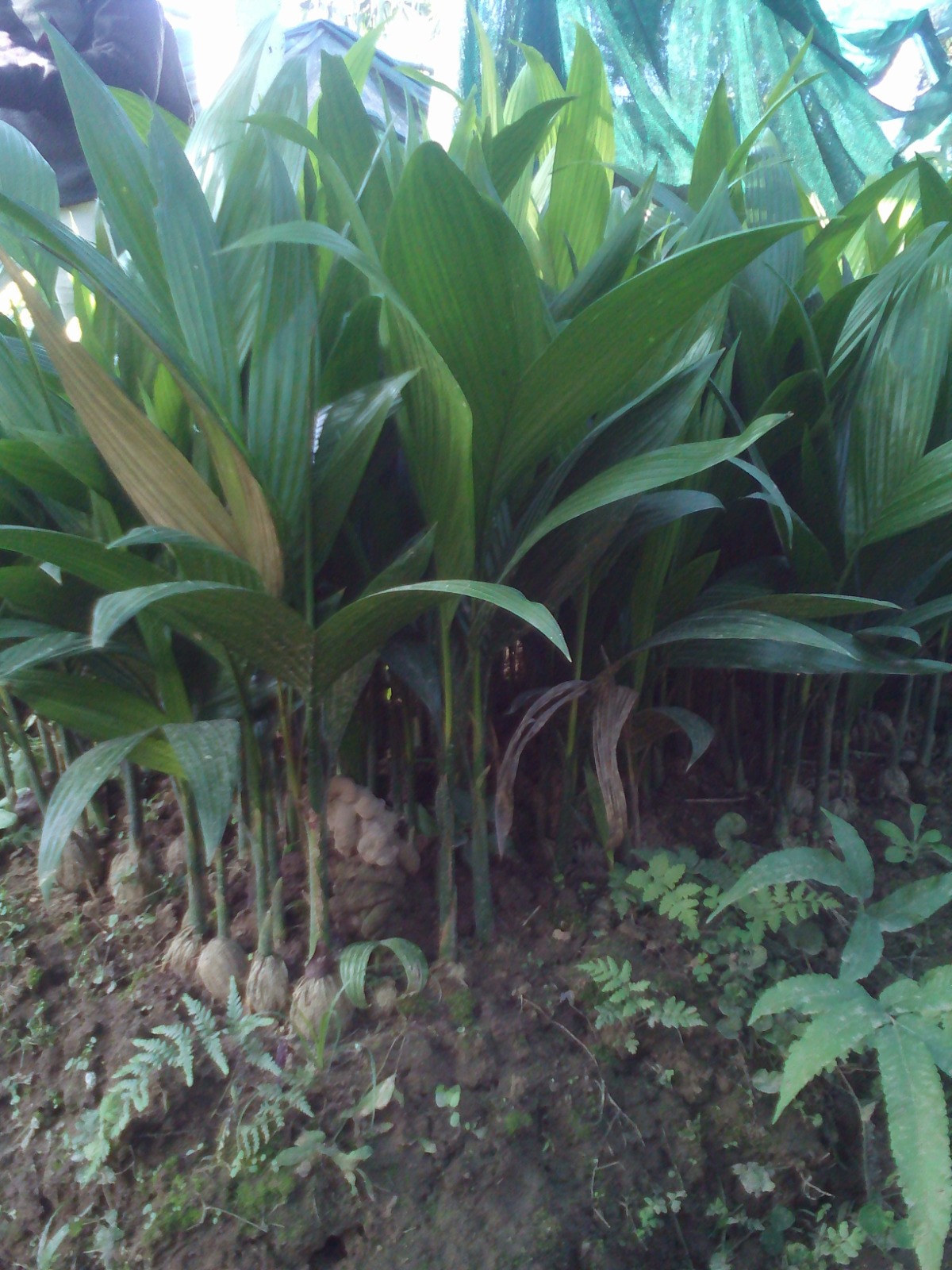 WhatsApp Image 2025-09-24 at 3.26.45 PM (14)