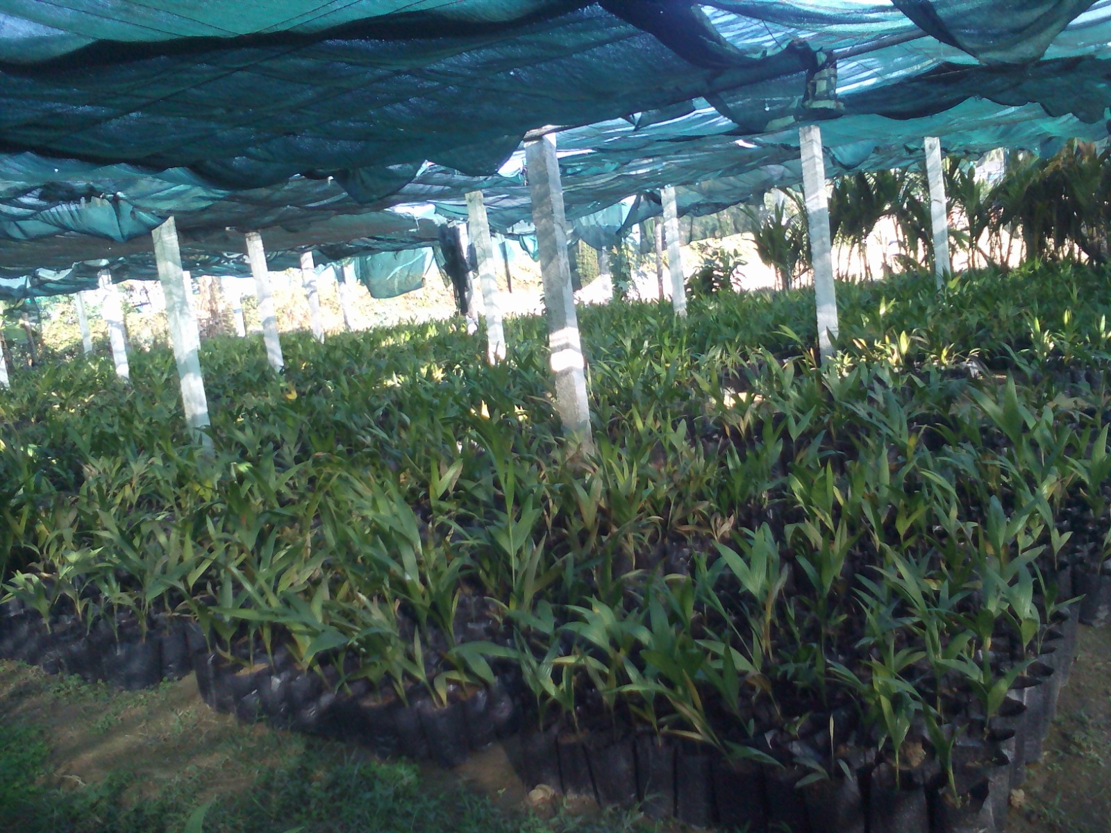 WhatsApp Image 2025-09-24 at 3.26.45 PM (15)