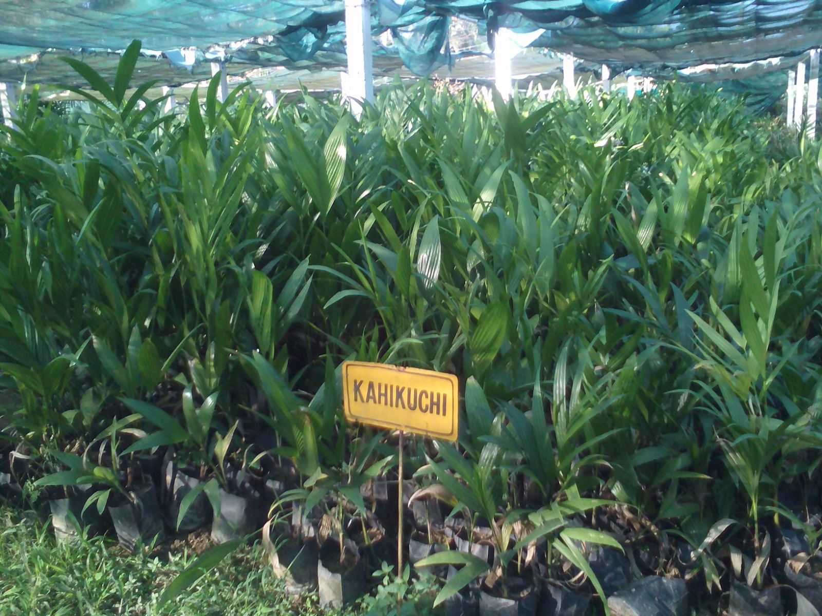 WhatsApp Image 2025-09-24 at 3.26.45 PM (16)