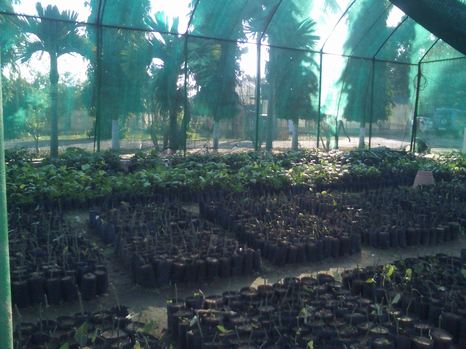 WhatsApp Image 2025-09-24 at 3.26.45 PM (17)