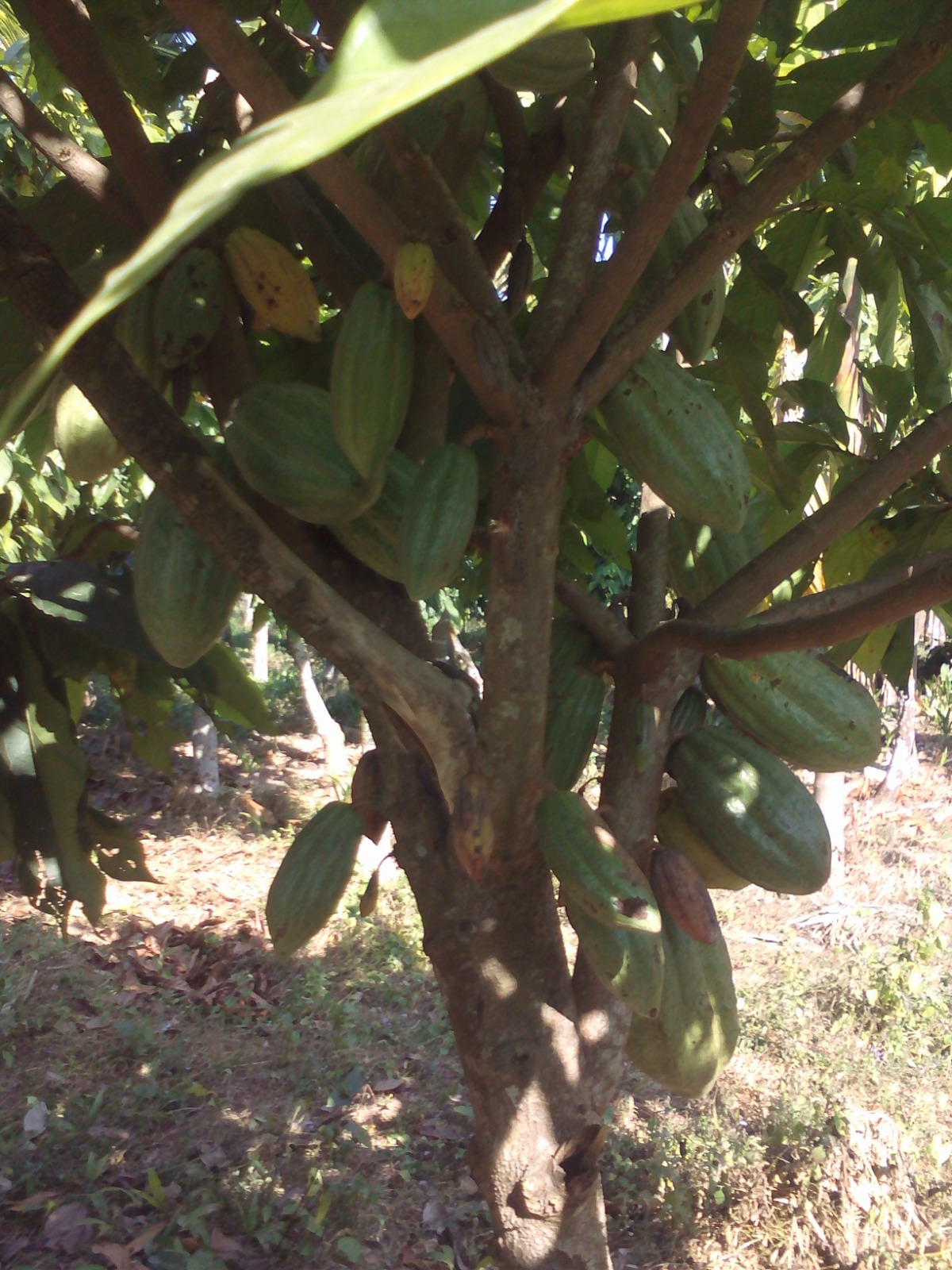 WhatsApp Image 2025-09-24 at 3.26.45 PM (5)