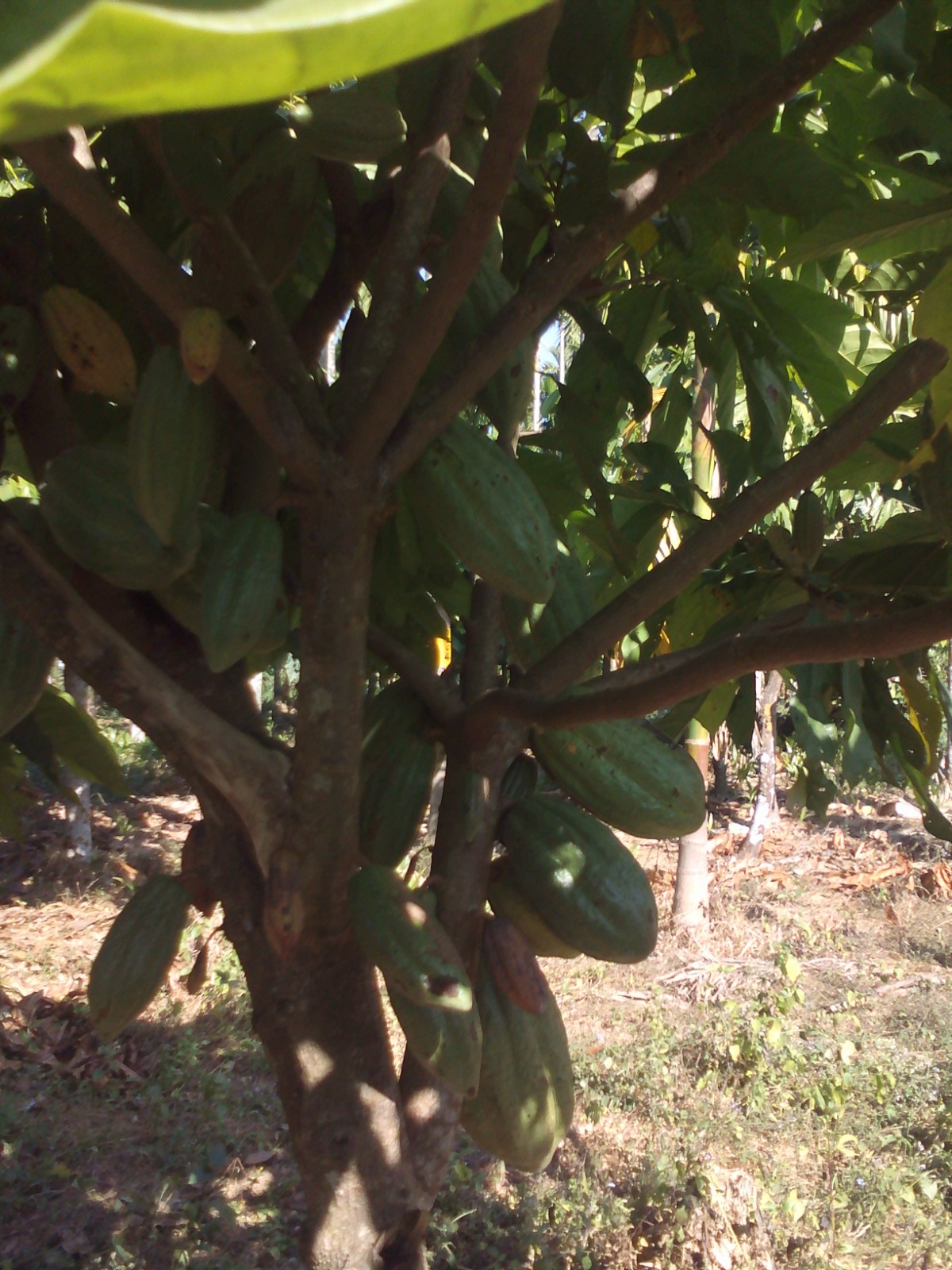 WhatsApp Image 2025-09-24 at 3.26.45 PM (6)