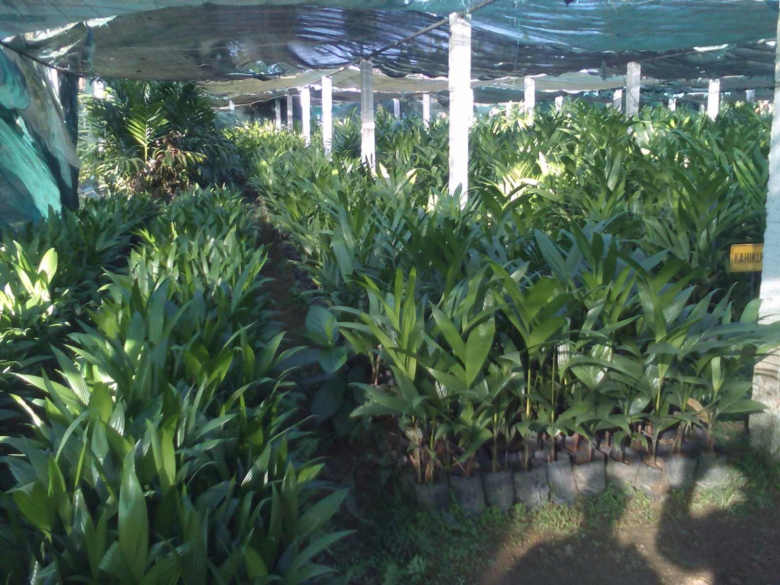 WhatsApp Image 2025-09-24 at 3.26.45 PM (9)