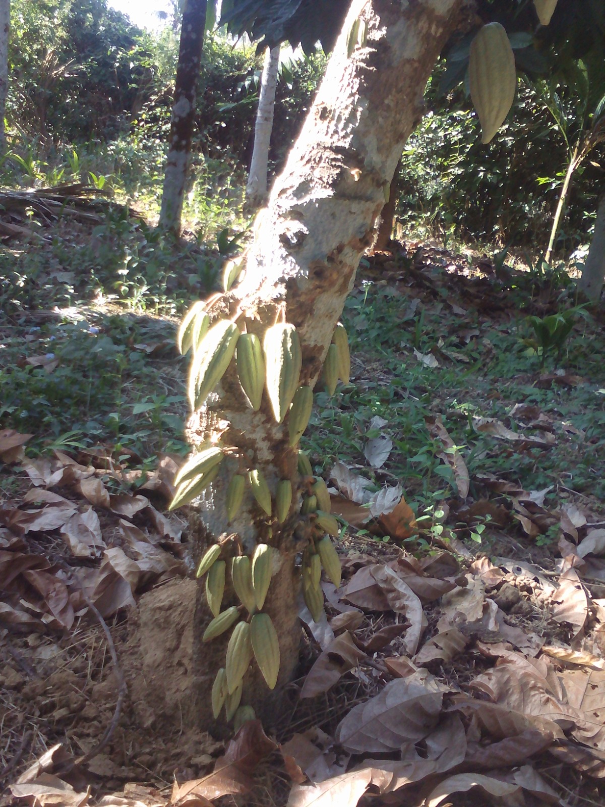 WhatsApp Image 2025-09-24 at 3.26.45 PM