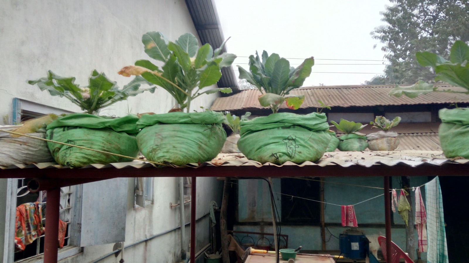 WhatsApp Image 2025-09-24 at 3.26.51 PM (1)