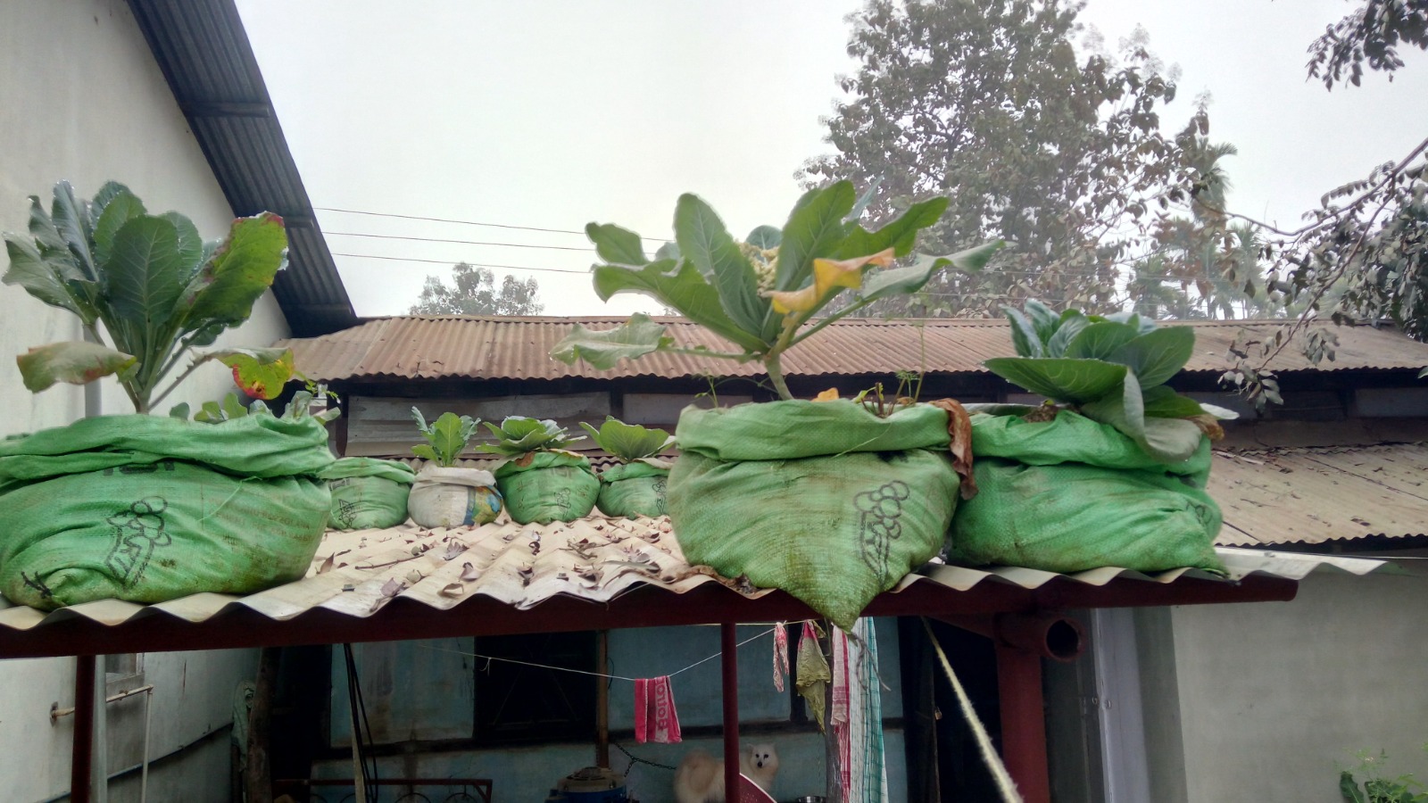 WhatsApp Image 2025-09-24 at 3.26.51 PM (2)