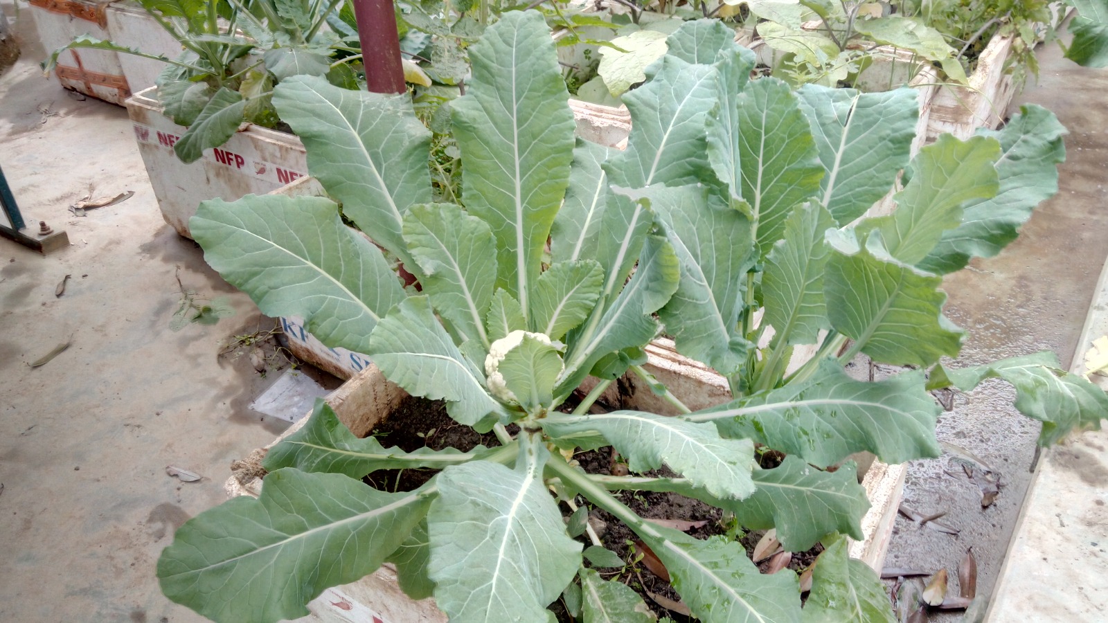 WhatsApp Image 2025-09-24 at 3.26.52 PM (2)