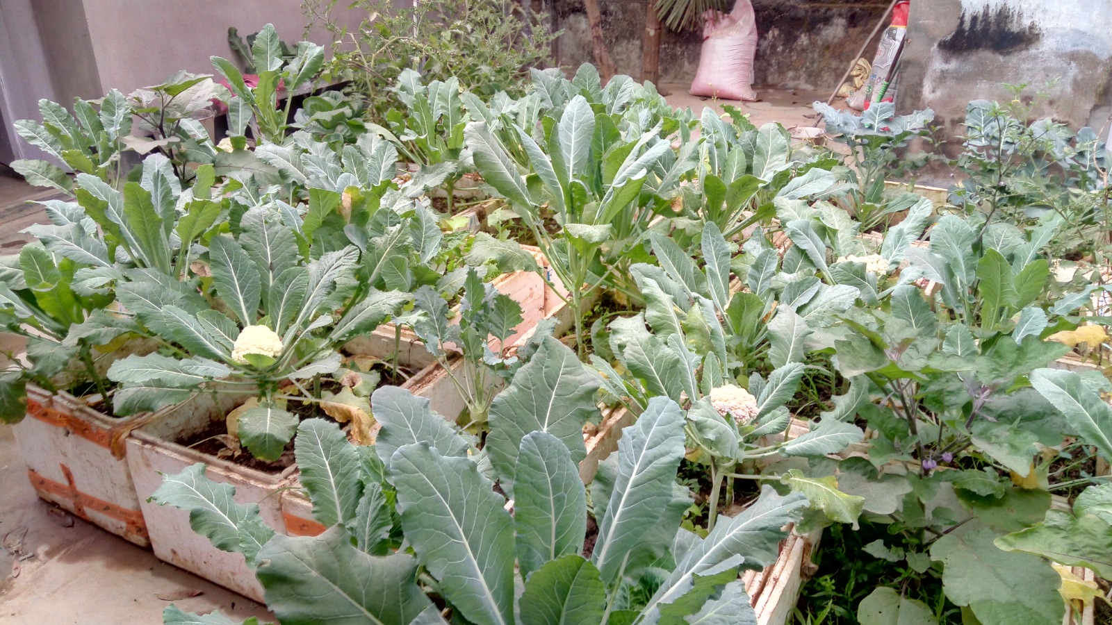 WhatsApp Image 2025-09-24 at 3.26.52 PM (3)