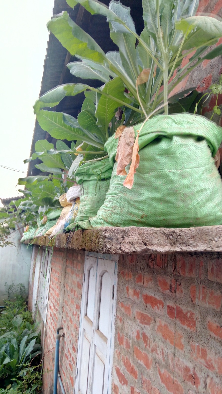 WhatsApp Image 2025-09-24 at 3.26.52 PM