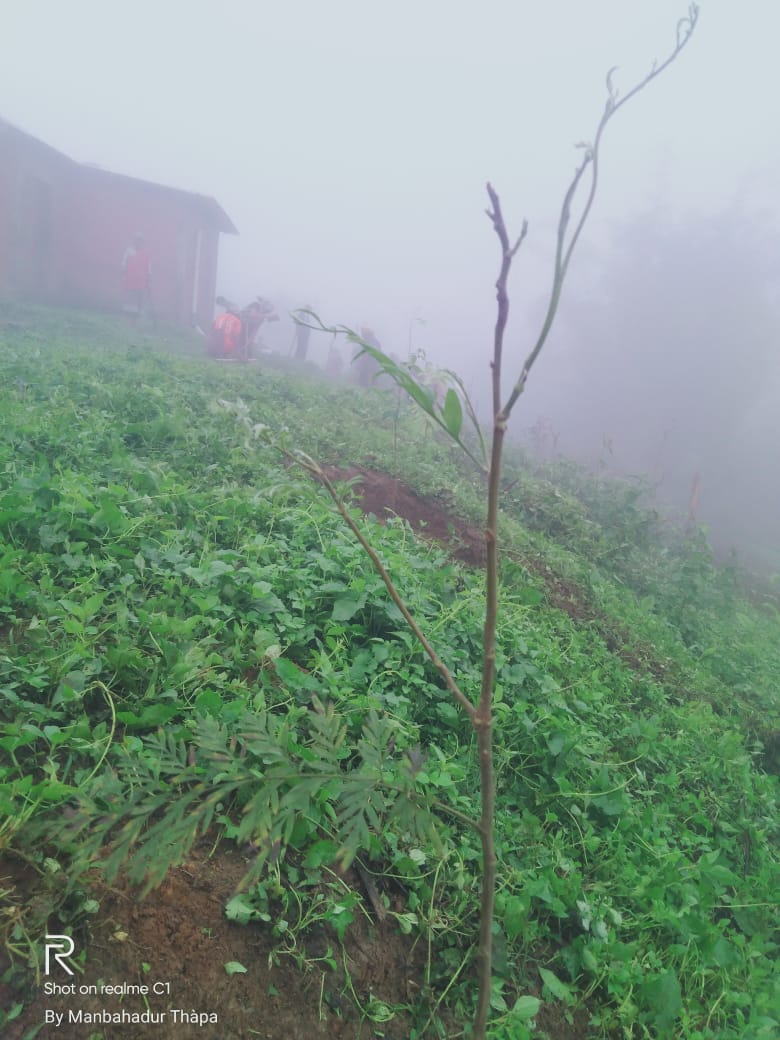 WhatsApp Image 2025-10-23 at 1.46.45 PM-2