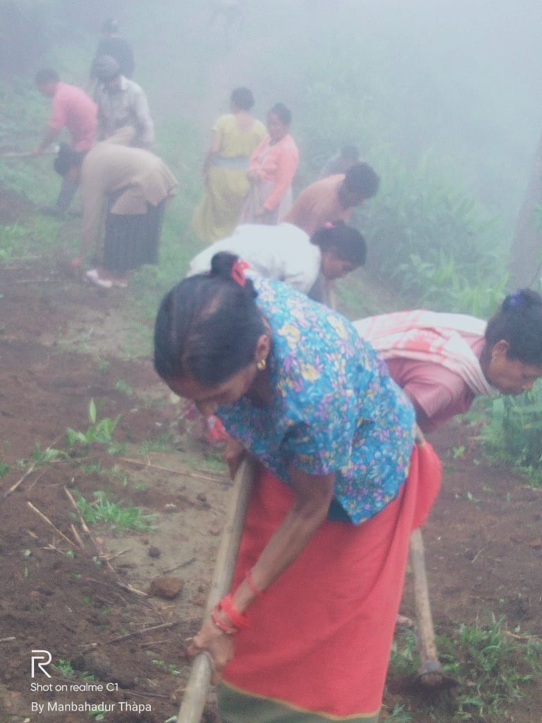 WhatsApp Image 2025-10-23 at 1.46.45 PM