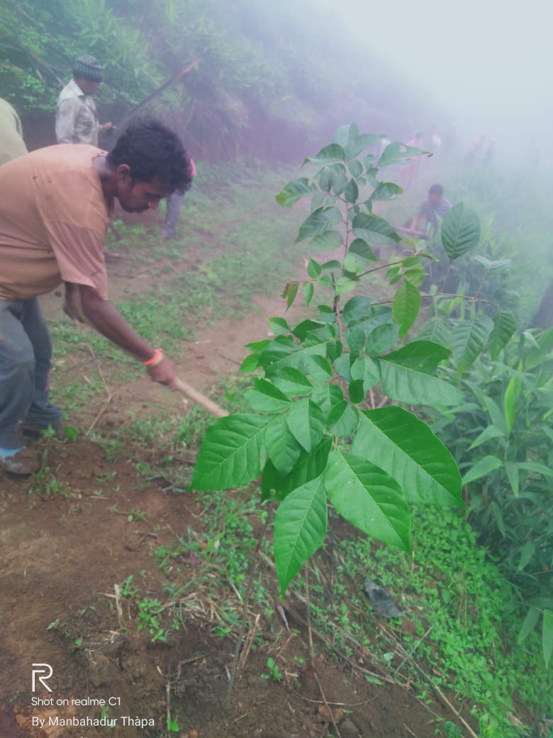 WhatsApp Image 2025-10-23 at 1.46.50 PM-2