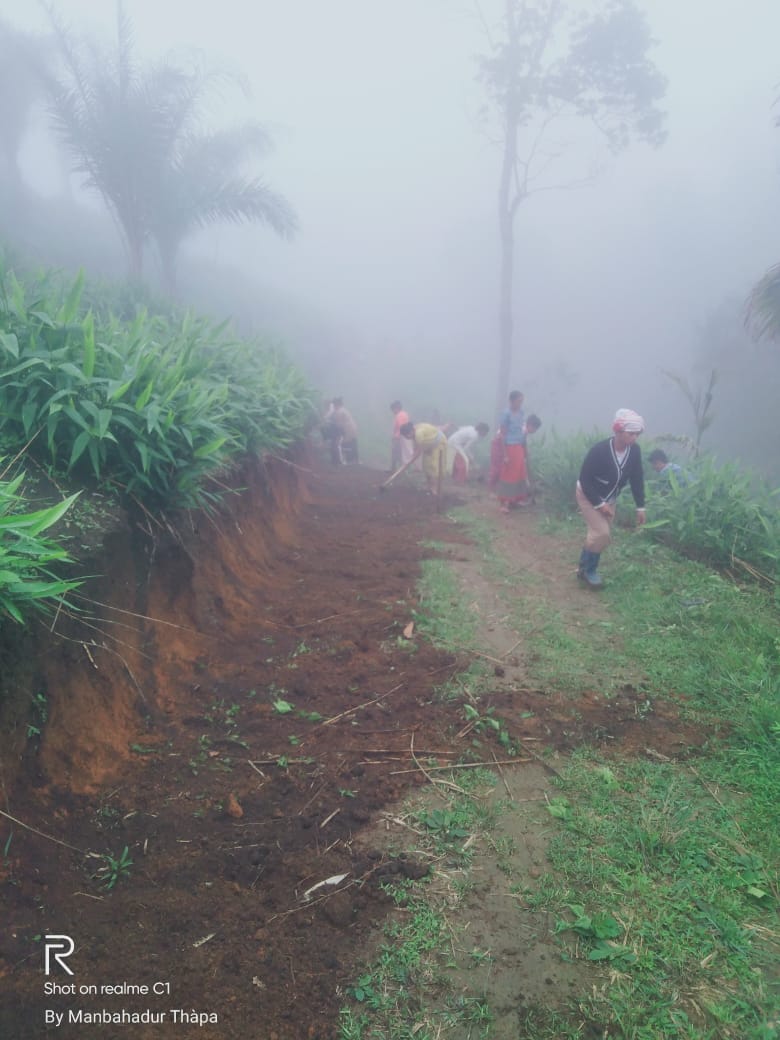 WhatsApp Image 2025-10-23 at 1.46.51 PM