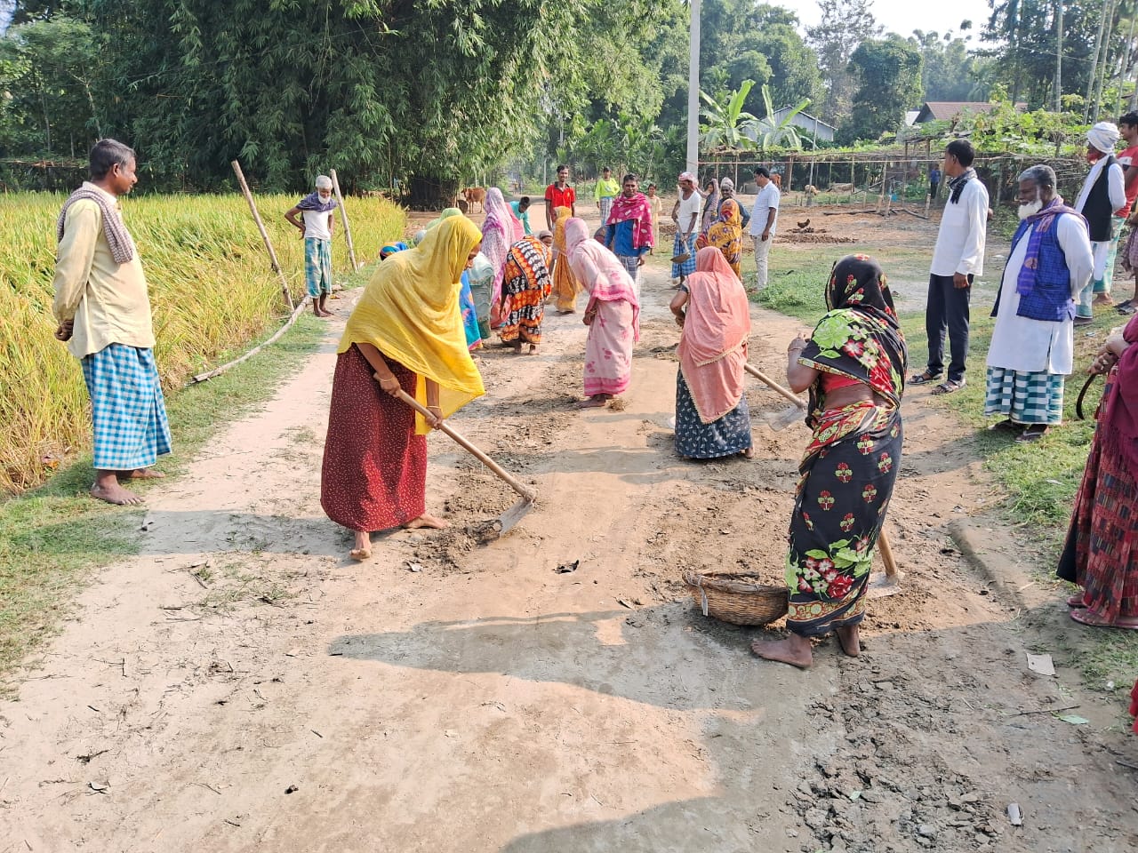 WhatsApp Image 2025-10-23 at 1.52.47 PM