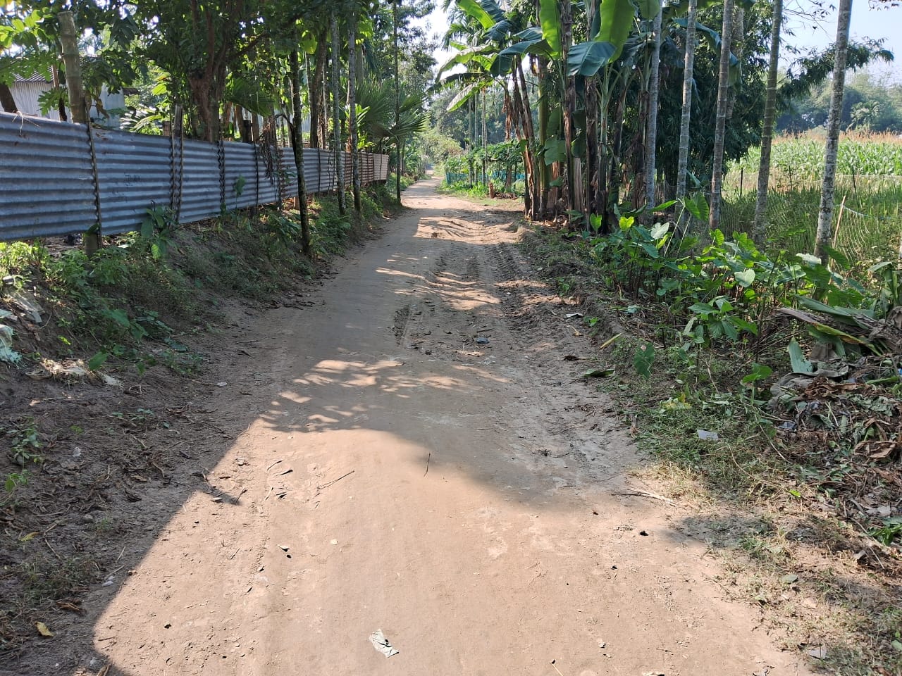 WhatsApp Image 2025-10-23 at 1.53.31 PM-2