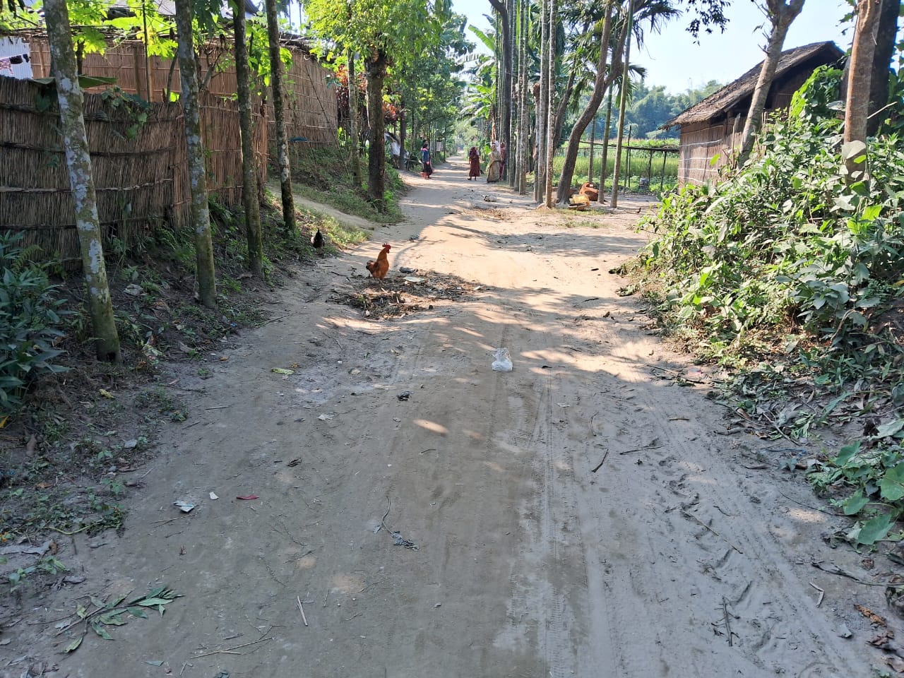 WhatsApp Image 2025-10-23 at 1.53.31 PM