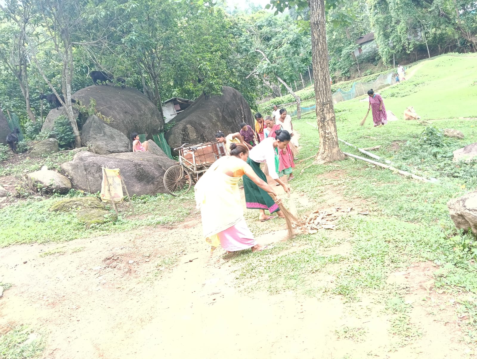 WhatsApp Image 2025-10-23 at 2.25.45 PM